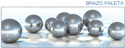 BRAZO PALETA